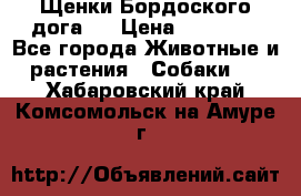 Щенки Бордоского дога.  › Цена ­ 30 000 - Все города Животные и растения » Собаки   . Хабаровский край,Комсомольск-на-Амуре г.